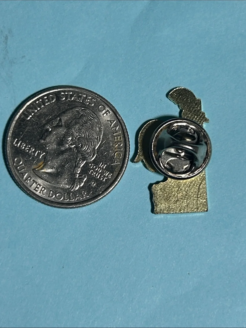 Delaware Rooster state-shaped souvenir collectible Pin